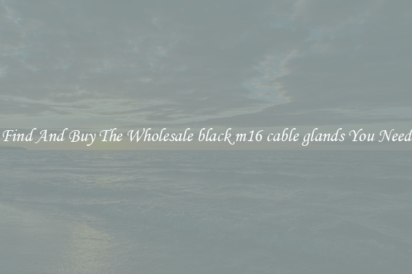 Find And Buy The Wholesale black m16 cable glands You Need