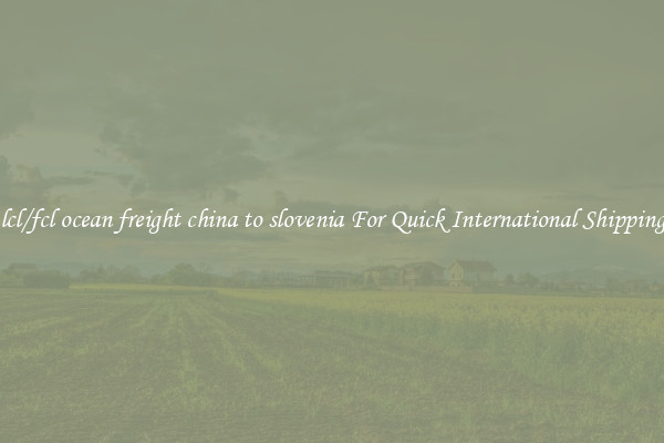 lcl/fcl ocean freight china to slovenia For Quick International Shipping