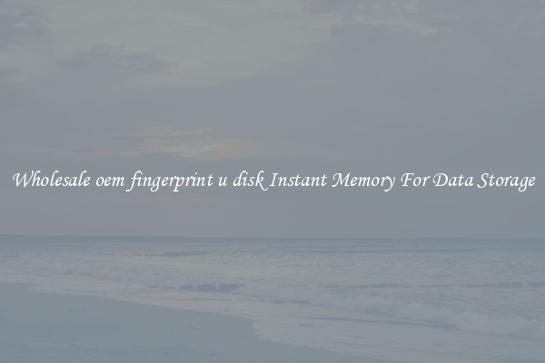 Wholesale oem fingerprint u disk Instant Memory For Data Storage