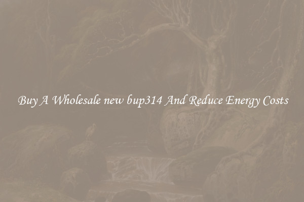 Buy A Wholesale new bup314 And Reduce Energy Costs