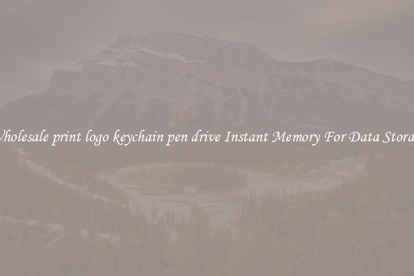 Wholesale print logo keychain pen drive Instant Memory For Data Storage