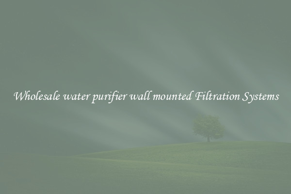 Wholesale water purifier wall mounted Filtration Systems