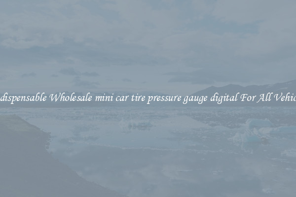 Indispensable Wholesale mini car tire pressure gauge digital For All Vehicles