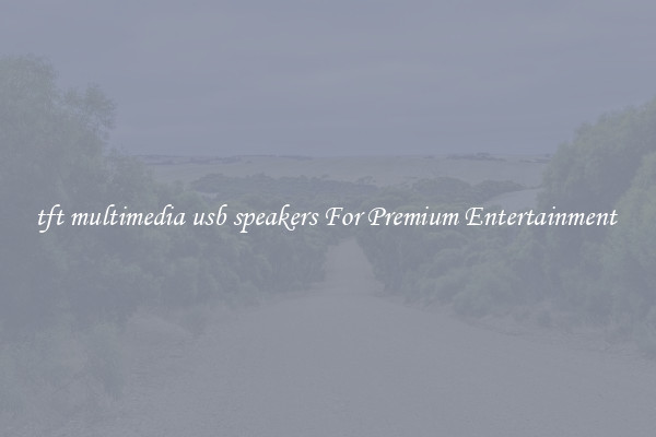 tft multimedia usb speakers For Premium Entertainment 
