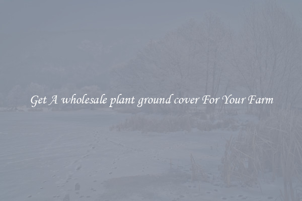 Get A wholesale plant ground cover For Your Farm