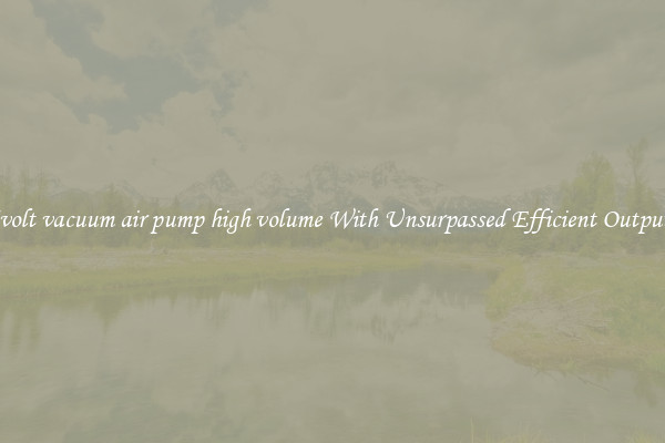 5volt vacuum air pump high volume With Unsurpassed Efficient Outputs