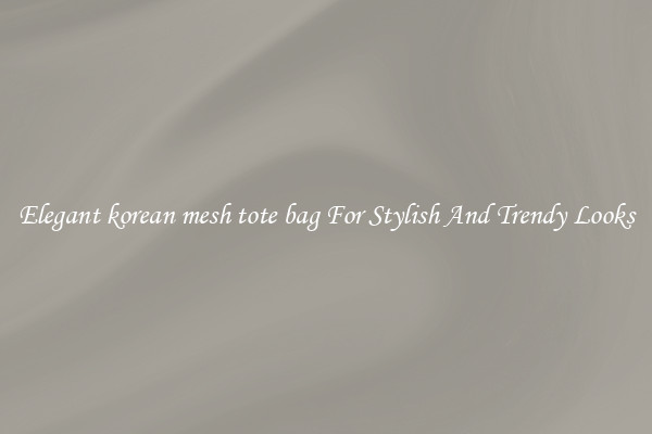 Elegant korean mesh tote bag For Stylish And Trendy Looks