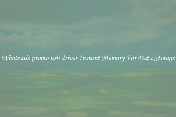 Wholesale promo usb driver Instant Memory For Data Storage