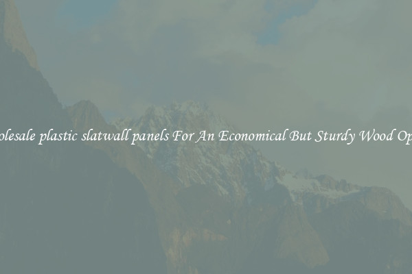 Wholesale plastic slatwall panels For An Economical But Sturdy Wood Option