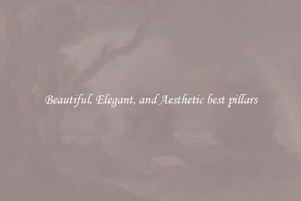Beautiful, Elegant, and Aesthetic best pillars