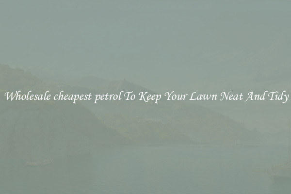 Wholesale cheapest petrol To Keep Your Lawn Neat And Tidy