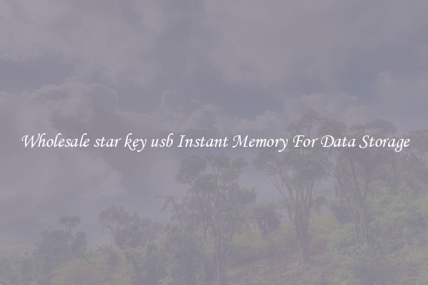 Wholesale star key usb Instant Memory For Data Storage