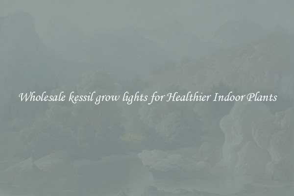 Wholesale kessil grow lights for Healthier Indoor Plants