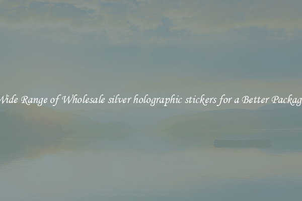 A Wide Range of Wholesale silver holographic stickers for a Better Packaging 