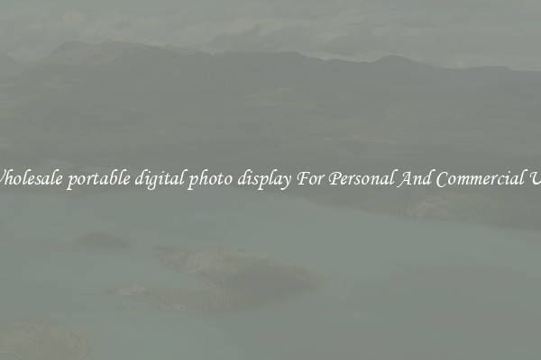 Wholesale portable digital photo display For Personal And Commercial Use