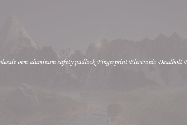 Wholesale oem aluminum safety padlock Fingerprint Electronic Deadbolt Door 