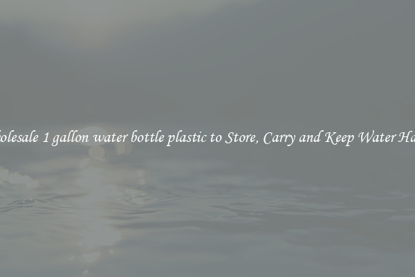Wholesale 1 gallon water bottle plastic to Store, Carry and Keep Water Handy