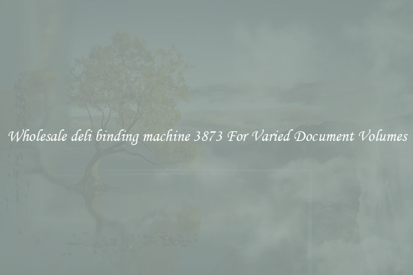 Wholesale deli binding machine 3873 For Varied Document Volumes