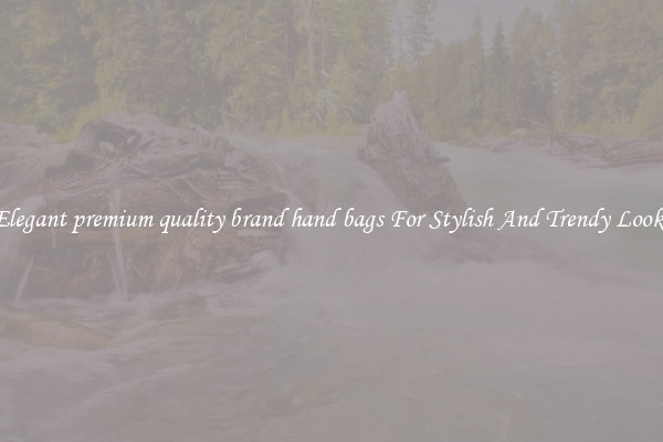 Elegant premium quality brand hand bags For Stylish And Trendy Looks