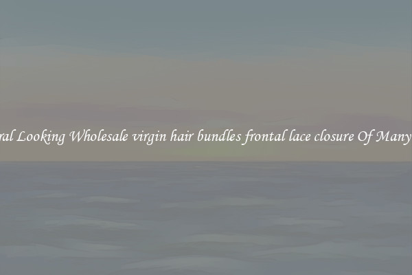 Natural Looking Wholesale virgin hair bundles frontal lace closure Of Many Types