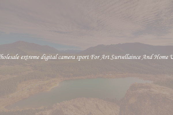 Wholesale extreme digital camera sport For Art Survellaince And Home Use