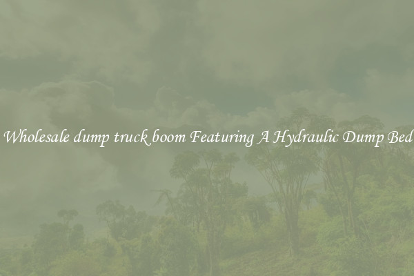 Wholesale dump truck boom Featuring A Hydraulic Dump Bed